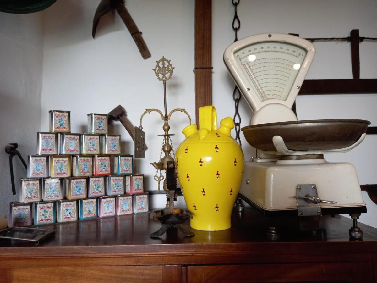 赫雷斯Casa Museo Jerez Centro公寓 外观 照片